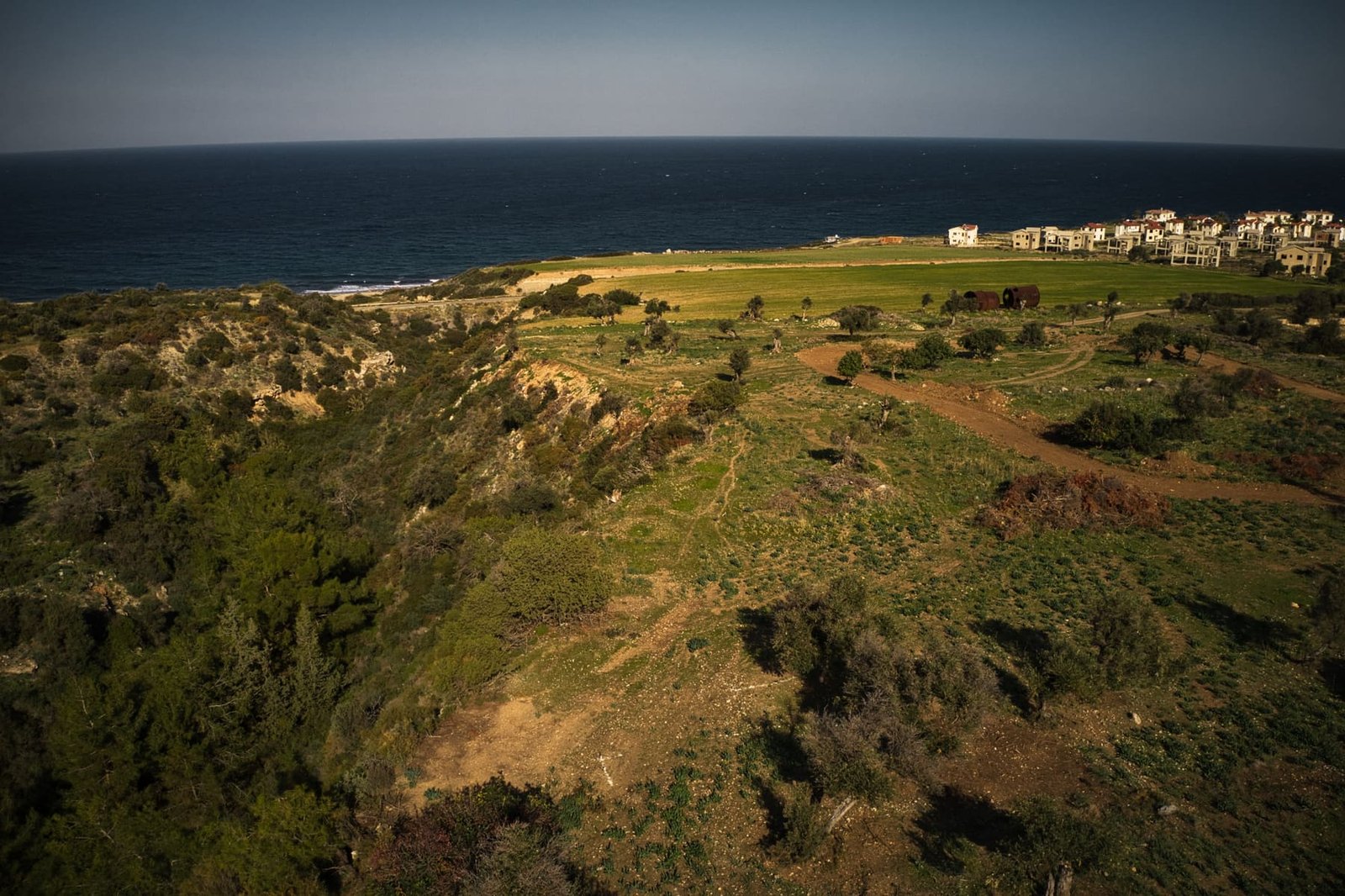 Olive Trees Village