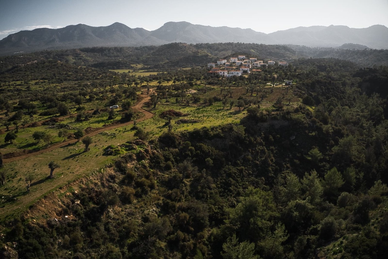 Olive Trees Village